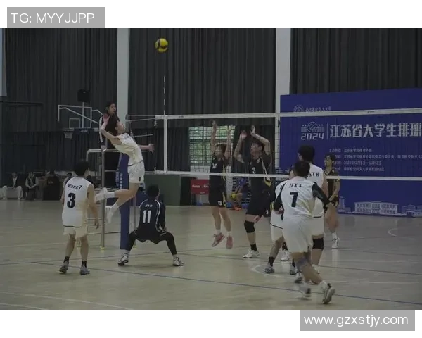 聚焦排球：探讨成都排球队员个人能力提升与团队协作的关系